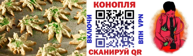 где найти   Грязовец  Canna-Cookies марихуана 