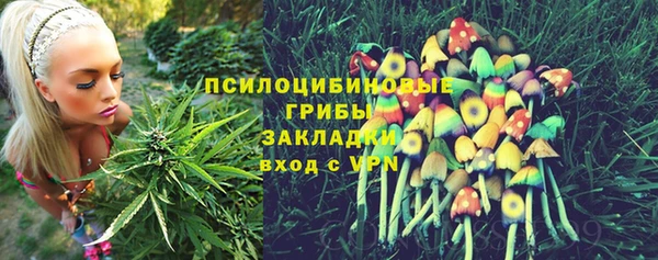 сатива Зерноград