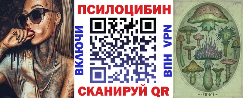 ОМГ ОМГ   мориарти какой сайт  Грязовец  Псилоцибиновые грибы Magic Shrooms  где можно купить  